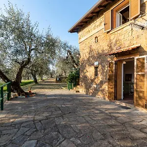 Casetta Maduneta Immersa In Un Oliveto Hébergement de vacances Dolceacqua